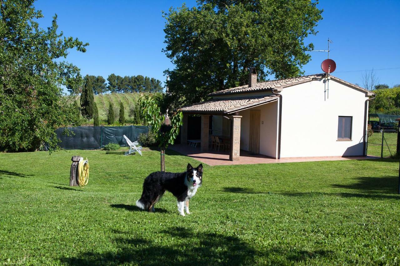 Casa Marta Βίλα Πιτιλιάνο Δωμάτιο φωτογραφία